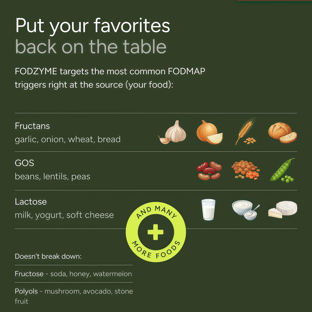 FODZYME® On-The-Go Digestive Enzymes for Gut Health